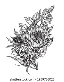 Beautiful vector composition of black and white flowers, feverweed, protea, isolated on white background. Amasing hand drawn illustration for polygraphic design, coloring book.