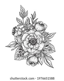 Beautiful vector composition of black and white peony flowers,, isolated on white background. Amazing hand drawn illustration for polygraphic design, coloring book.