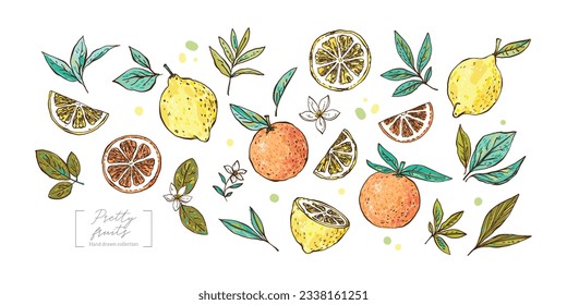 Beautiful vector cute abstract citruses collection in childish style. Simple pretty lemons and oranges with leaves. Modern style for creating cards, decor, textile, invitation, posters, packaging