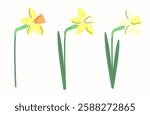 Beautiful vector daffodils clipart elements isolated on a light background. Spring graphics for wedding invitations, decoration, web-design, garden-themed projects, etc.   