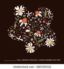 Beautiful vector daisy flower natural illustration for apparel print. Chamomile flowers and berries autumn illustration.