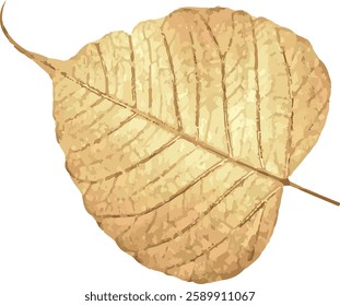 Beautiful Vector dry Peepul Leaf