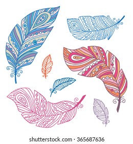 Beautiful vector feather set