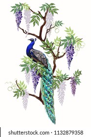 Beautiful vector floral illustration background with peacock, wisteria. Perfect for wallpapers, web page backgrounds, surface textures, textile.