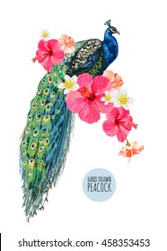 Beautiful vector floral illustration background with peacock, hibiscus. Boho style, isolated object.