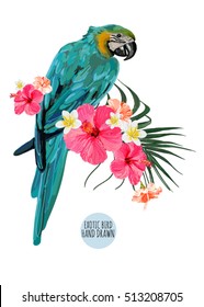 Beautiful vector floral illustration background with parrot exotic bird, hibiscus, palm leaf. Boho style, isolated object on white background.