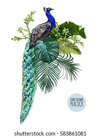 Beautiful vector floral illustration background with peacock, tropical spring leaves, branches. Chinese style, isolated object.	
