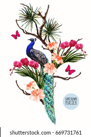 Beautiful vector floral illustration background with peacock, exotic flowers- hibiscus, orchid, palm leaves, branches. Bohemial style, isolated object.