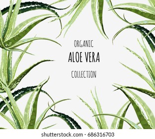 Beautiful vector floral illustration background with aloe vera. Perfect for wallpapers, web page backgrounds, surface textures, textile