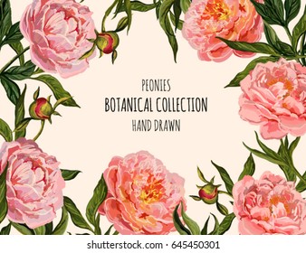 Beautiful  vector floral summer  background with hand drawn peony flowers. Perfect for wallpapers, web page backgrounds, surface textures, textile.