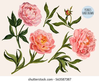 Beautiful vector floral summer illustration background with hand drawn peony flowers. Perfect for wallpapers, web page backgrounds, surface textures, textile.