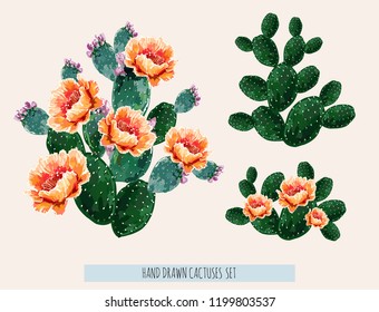 Beautiful vector floral summer tropical illustration background with blooming cactuses. Perfect for wallpapers, web page backgrounds, surface textures, textile. Isolated on white background. 