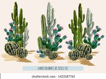 Beautiful vector floral summer tropical illustration  background with cactuses, succulents. Perfect for wallpapers, web page backgrounds, surface textures, textile. Isolated on white background.