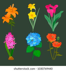 Beautiful vector flower bouquet design decoration nature design floral flower drawing leaf blossom botanical spring woman gift illustration