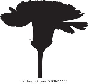 Una hermosa ilustración de flores de Vector con líneas suaves y tonos ricos. Este elegante diseño botánico es ideal para varios proyectos creativos.