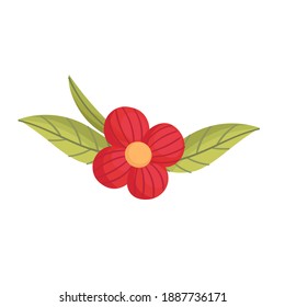 Beautiful vector flower. Red flower. Poppy. Tropical flower.