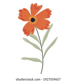 Beautiful vector flowers and butterflies