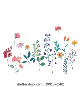 Beautiful vector flowers and leaves