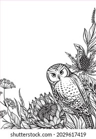 Beautiful vector frame with black and white owl, feverweed, protea flowers and leaves. Amasing hand drawn illustration for polygraphic design, greeting card.