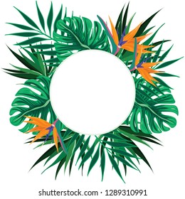 Beautiful vector frame with exotic Strelitzia flowers and tropical leaves on white background