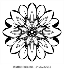 Beautiful vector graphic floral pattern design