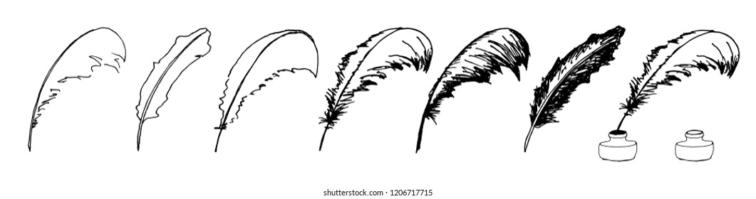 Beautiful vector hand drawing set of ink and quill illustration in old ancient pirate style 