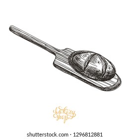 Beautiful vector hand drawn bakery Illustration. Detailed retro style images. Vintage sketch for labels. Buns and bread drawing for logo design.