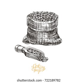 Beautiful vector hand drawn bakery Illustration. Detailed retro style images. Vintage sketch for labels. Bag with flour drawing for logo design. 