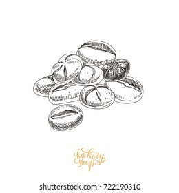 Beautiful vector hand drawn bakery Illustration. Detailed retro style images. Vintage sketch for labels. Buns and bread drawing for logo design.