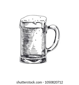 Beautiful vector hand drawn beer in a beer mug Illustration. Detailed retro style images. Vintage sketch element for labels and cards design.