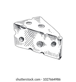 Beautiful vector hand drawn cheese Illustration. Detailed retro style lychee image. Vintage sketch for labels. Elements collection for design.