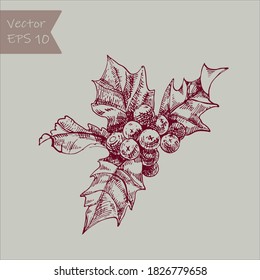 Beautiful vector hand drawn christmas Illustration. Holly berries. Detailed retro style images. Vintage sketch Element for labels design.