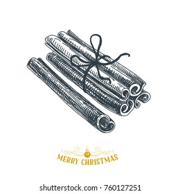 Beautiful vector hand drawn christmas Illustration. Cinnamon. Detailed retro style images. Vintage sketch Element for labels design. 