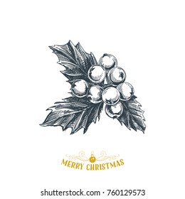 Beautiful Vector Hand Drawn Christmas Illustration. Holly Berries. Detailed Retro Style Images. Vintage Sketch Element For Labels Design. 