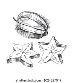 Beautiful vector hand drawn exotic fruit Illustrations. Detailed retro style star fruit image. Vintage sketch for labels. Elements collection for design.