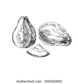 Beautiful vector hand drawn exotic fruit Illustrations. Detailed retro style Guave image. Vintage sketch for labels. Elements collection for design.