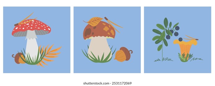 Lindo vetor mão desenhada vetor desenhos de cogumelos planos ilustrações. Porcini, boletus edulis, chanterelle, e mosca vermelha amanita agárica com mirtilo, folhas e plantas da floresta de outono