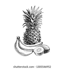 Beautiful vector hand drawn fruits Illustration. Detailed retro style image. Vintage sketch element for labels, packaging and cards design. Modern background.