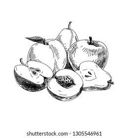 Beautiful vector hand drawn fruits Illustration. Detailed retro style image. Vintage sketch element for labels, packaging and cards design. Modern background.