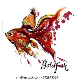 Beautiful vector hand drawn goldfish in engraved and watercolor style