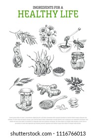 Beautiful vector hand drawn healthy ingredients Illustrations. Detailed retro style images. Vintage sketch elements for labels, packaging and cards design. Modern background.