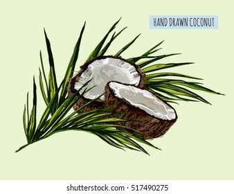 Beautiful vector hand drawn  illustration background with coconut and palm leaves. Boho style, isolated object.