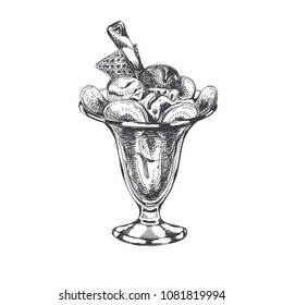 Beautiful vector hand drawn Kiwi sundae with whipped creamIllustration. Detailed retro style image. Vintage sketch element for labels, packaging and cards design. Modern background.