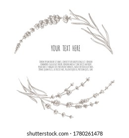 Beautiful vector hand drawn lavender tea herb Illustration. Sketch element for labels, packaging and cards design.