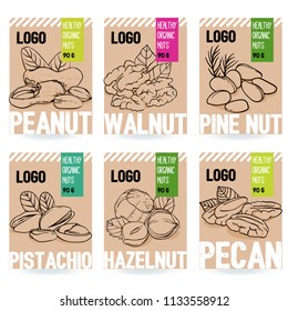 Beautiful vector hand drawn organic nut card set. Walnut, pine nut, pistachio, peanut, hazelnut, pecan. Template collection for packaging design. Modern illustrations isolated on white background.