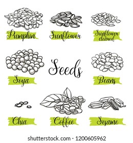 Beautiful vector hand drawn organic beans, seeds card set. Sesame, Chia, Soya, Coffee, Sunflower, Pumpkin. Template elements collection for packaging design. Modern illustrations on white background.