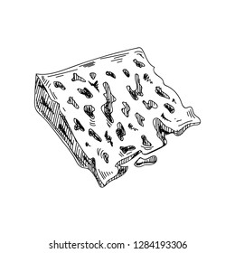 Beautiful vector hand drawn a piece of blue cheese Illustration. Detailed retro style image. Vintage sketch element for labels, packaging and cards design. Modern background.