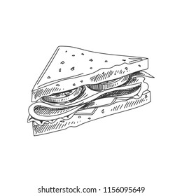 Beautiful vector hand drawn sandwich Illustration. Detailed retro style image. Vintage sketch element for labels, packaging and cards design. Modern background.