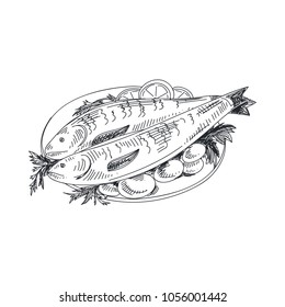 Beautiful vector hand drawn seafood Illustration. Detailed retro style grilled fish with potatoes image. Vintage sketch element for labels, packaging and cards design.