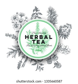 Beautiful vector hand drawn tea herb Illustration. Detailed retro style image. Vintage sketch element for labels, packaging and cards design. Modern background.